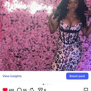 Leopard Bodycon Birthday Dress with Corset Detail -